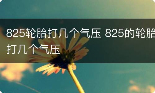 825轮胎打几个气压 825的轮胎打几个气压