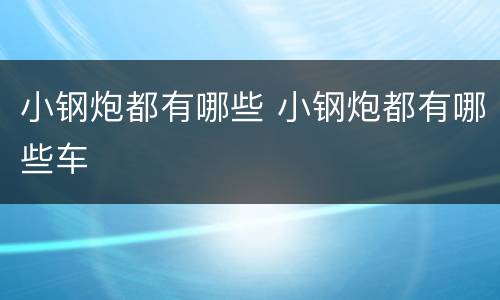 小钢炮都有哪些 小钢炮都有哪些车
