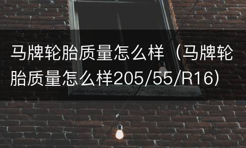 马牌轮胎质量怎么样（马牌轮胎质量怎么样205/55/R16）