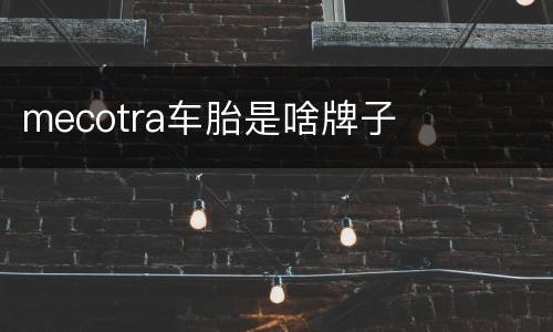 mecotra车胎是啥牌子