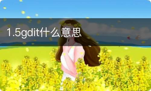 1.5gdit什么意思