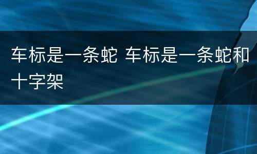 车标是一条蛇 车标是一条蛇和十字架
