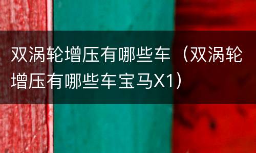 双涡轮增压有哪些车（双涡轮增压有哪些车宝马X1）