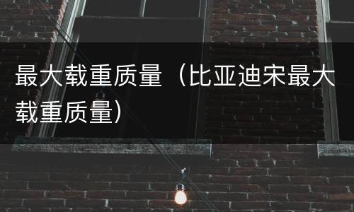最大载重质量（比亚迪宋最大载重质量）