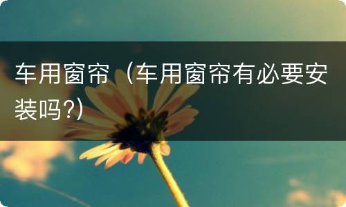 车用窗帘（车用窗帘有必要安装吗?）