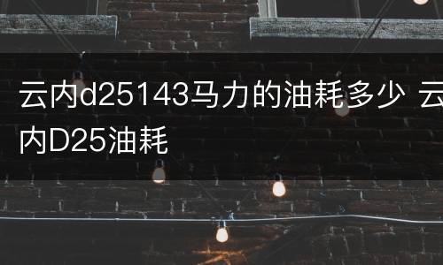 云内d25143马力的油耗多少 云内D25油耗