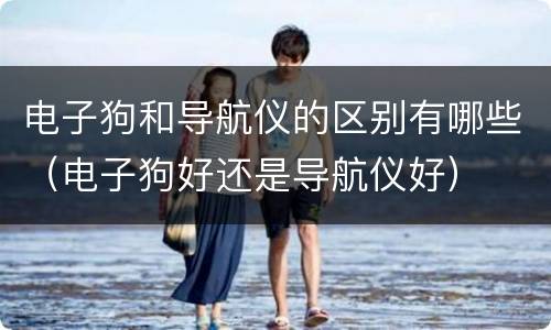 电子狗和导航仪的区别有哪些（电子狗好还是导航仪好）