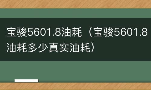 宝骏5601.8油耗（宝骏5601.8油耗多少真实油耗）