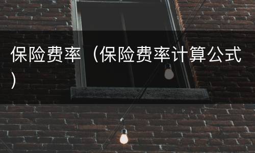保险费率（保险费率计算公式）