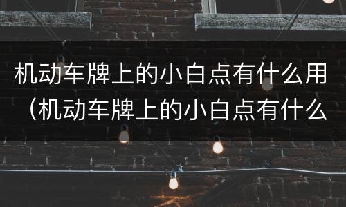 机动车牌上的小白点有什么用（机动车牌上的小白点有什么用处）