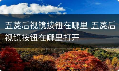 五菱后视镜按钮在哪里 五菱后视镜按钮在哪里打开