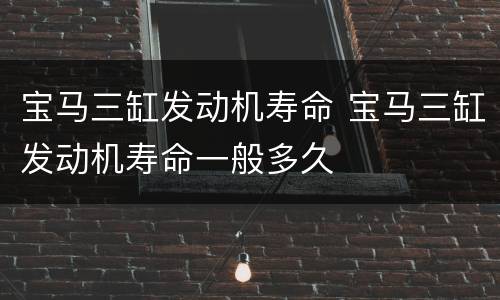 宝马三缸发动机寿命 宝马三缸发动机寿命一般多久