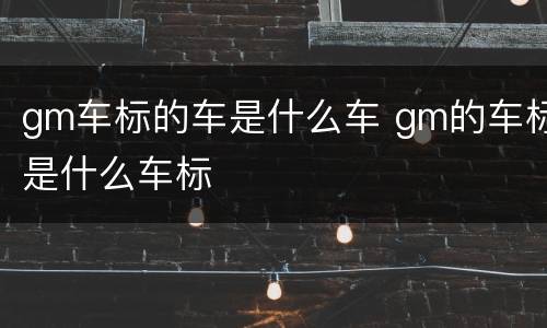 gm车标的车是什么车 gm的车标是什么车标