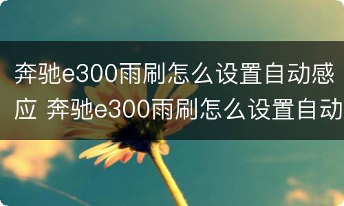 奔驰e300雨刷怎么设置自动感应 奔驰e300雨刷怎么设置自动感应功能