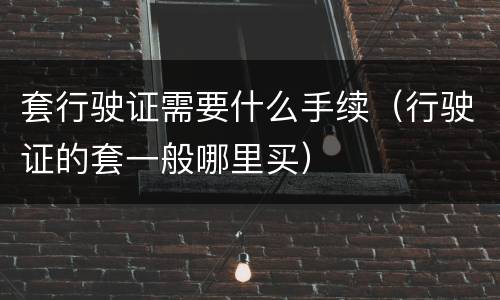 套行驶证需要什么手续（行驶证的套一般哪里买）