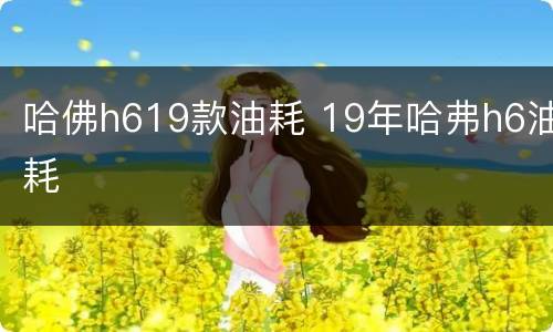 哈佛h619款油耗 19年哈弗h6油耗