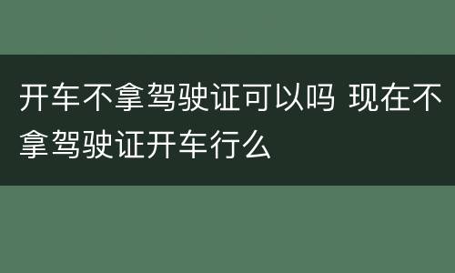 开车不拿驾驶证可以吗 现在不拿驾驶证开车行么