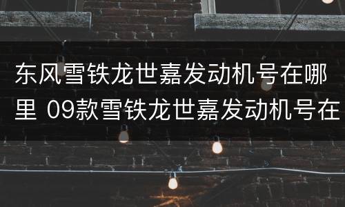 东风雪铁龙世嘉发动机号在哪里 09款雪铁龙世嘉发动机号在哪儿