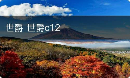 世爵 世爵c12
