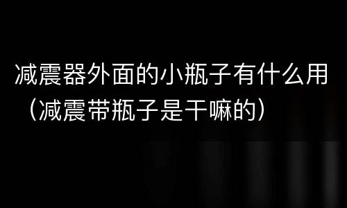 减震器外面的小瓶子有什么用（减震带瓶子是干嘛的）
