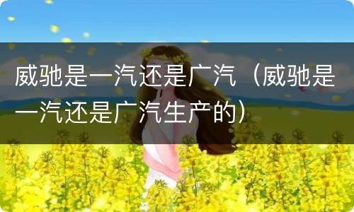 威驰是一汽还是广汽（威驰是一汽还是广汽生产的）