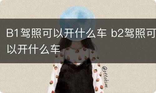 B1驾照可以开什么车 b2驾照可以开什么车