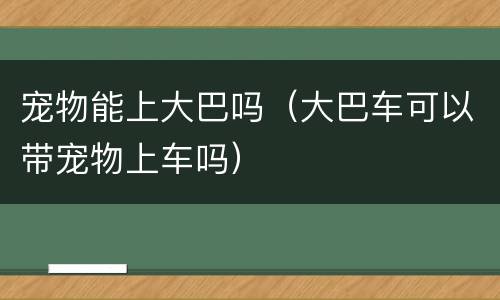 宠物能上大巴吗（大巴车可以带宠物上车吗）