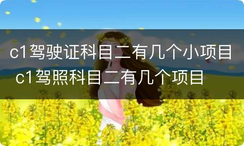 c1驾驶证科目二有几个小项目 c1驾照科目二有几个项目