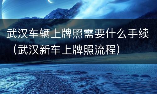 武汉车辆上牌照需要什么手续（武汉新车上牌照流程）