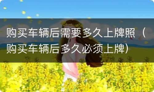 购买车辆后需要多久上牌照（购买车辆后多久必须上牌）