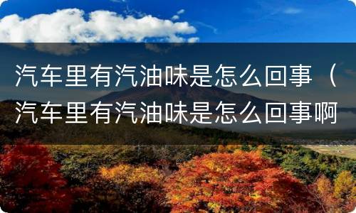 汽车里有汽油味是怎么回事（汽车里有汽油味是怎么回事啊）