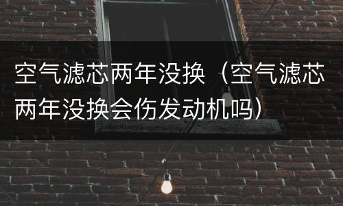 空气滤芯两年没换（空气滤芯两年没换会伤发动机吗）