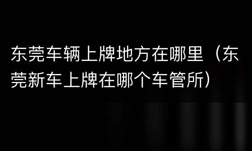 东莞车辆上牌地方在哪里（东莞新车上牌在哪个车管所）