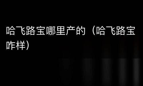 哈飞路宝哪里产的（哈飞路宝咋样）