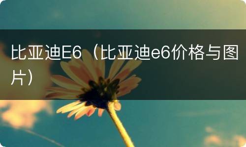 比亚迪E6（比亚迪e6价格与图片）