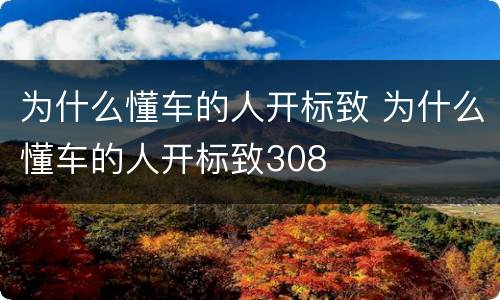 为什么懂车的人开标致 为什么懂车的人开标致308
