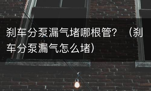 刹车分泵漏气堵哪根管？（刹车分泵漏气怎么堵）