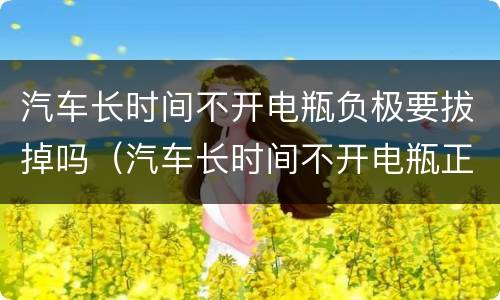 汽车长时间不开电瓶负极要拔掉吗（汽车长时间不开电瓶正负极都取下来）