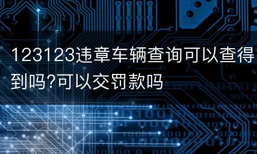 123123违章车辆查询可以查得到吗?可以交罚款吗