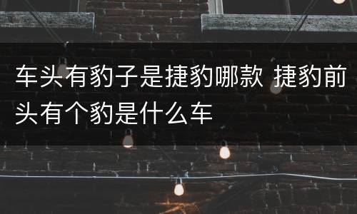 车头有豹子是捷豹哪款 捷豹前头有个豹是什么车