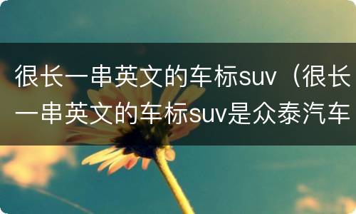 很长一串英文的车标suv（很长一串英文的车标suv是众泰汽车价格）