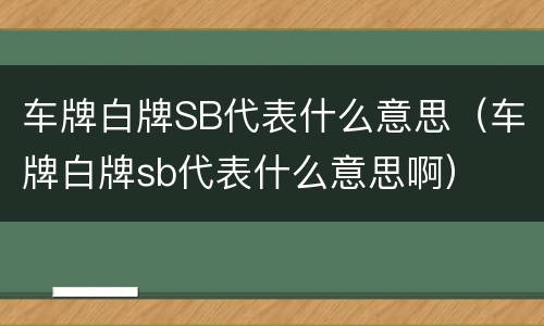 车牌白牌SB代表什么意思（车牌白牌sb代表什么意思啊）