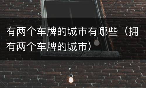 有两个车牌的城市有哪些（拥有两个车牌的城市）