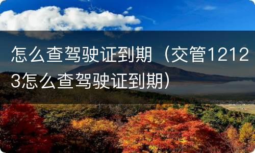 怎么查驾驶证到期（交管12123怎么查驾驶证到期）