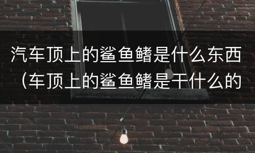 汽车顶上的鲨鱼鳍是什么东西（车顶上的鲨鱼鳍是干什么的）