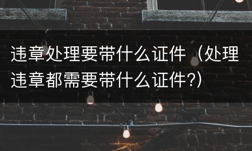 违章处理要带什么证件（处理违章都需要带什么证件?）