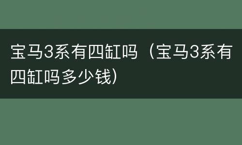 宝马3系有四缸吗（宝马3系有四缸吗多少钱）