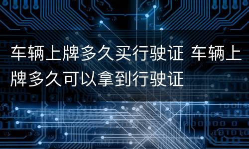 车辆上牌多久买行驶证 车辆上牌多久可以拿到行驶证