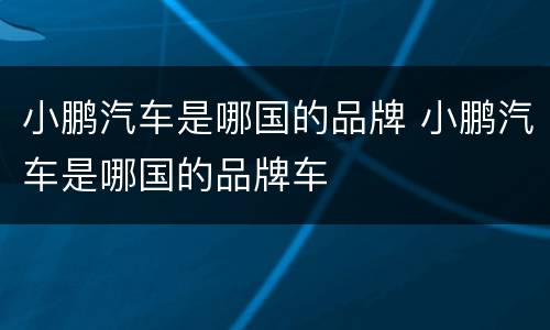 小鹏汽车是哪国的品牌 小鹏汽车是哪国的品牌车
