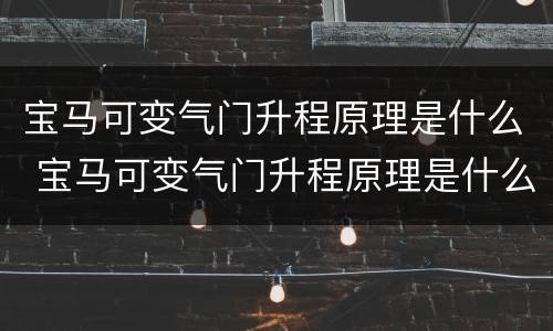 宝马可变气门升程原理是什么 宝马可变气门升程原理是什么